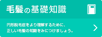 毛髪の基礎知識 円形脱毛をより理解するために、正しい毛髪の知識をみにつけましょう