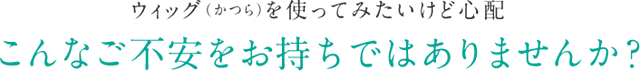 ウィッグ（かつら）を使ってみたいけど心配 こんなご不安をお持ちではありませんか？