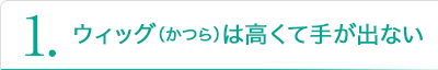 1.ウィッグ（かつら）は高くて手が出ない