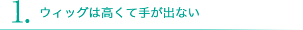 1.ウィッグは高くて手が出ない