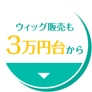 ウィッグ販売も3万円台から
