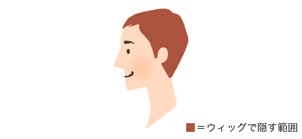 全頭ウィッグ(かつら)